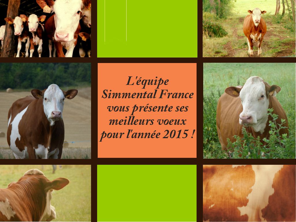 Voeux SF2