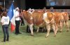 Lot Francais Eurosimmental