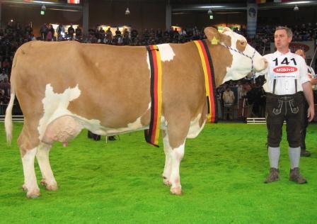 concours_allemagne