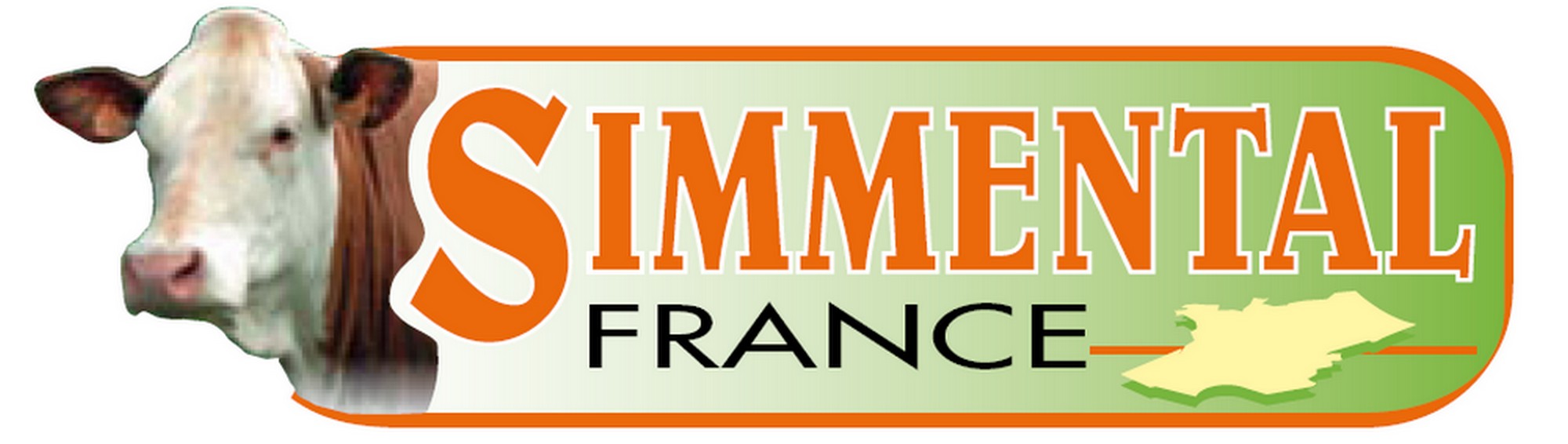 logo_sf