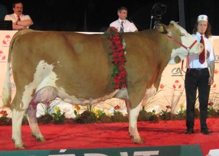 vendee_ch_jeune_epinal_2010