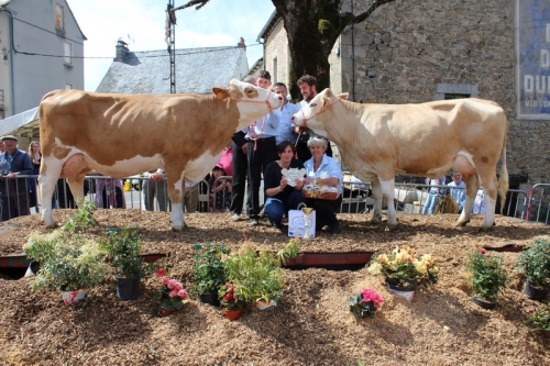 20ème Concours Département de l'Aveyron 