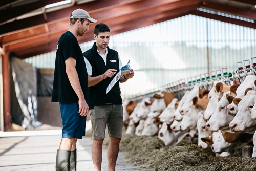 Simmental France recrute !!