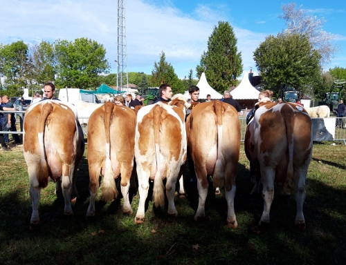 Un beau concours haut marnais 