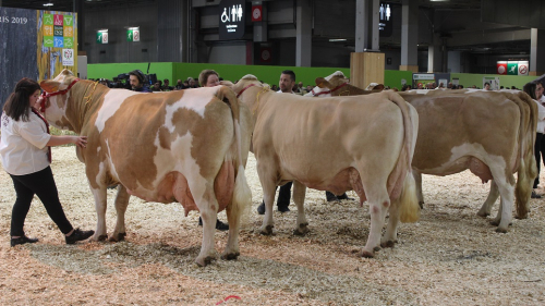 Concours Simmental Paris 2020