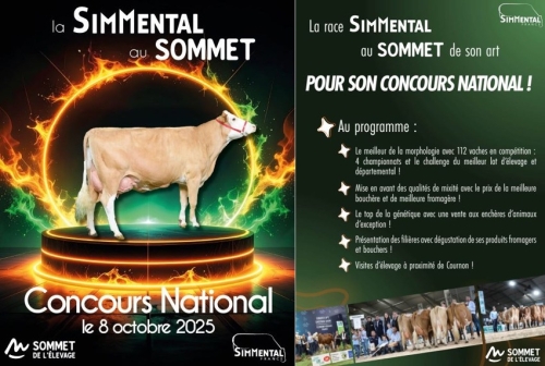 Actualité