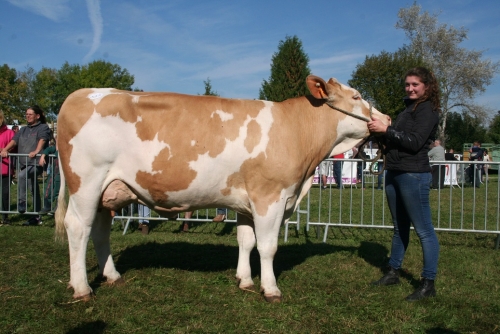 se rencontrer haute marne