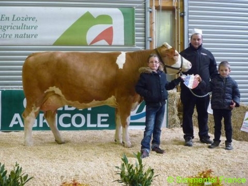 Concours Interdépartemental Lozère/Cantal