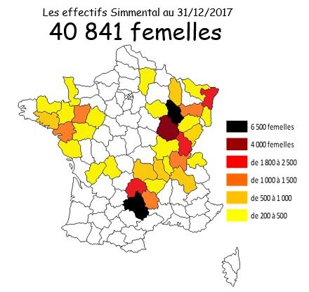 Agrandir l'image