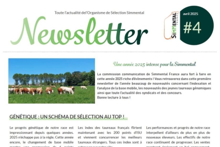 Découvrez notre nouvelle Newsletter !