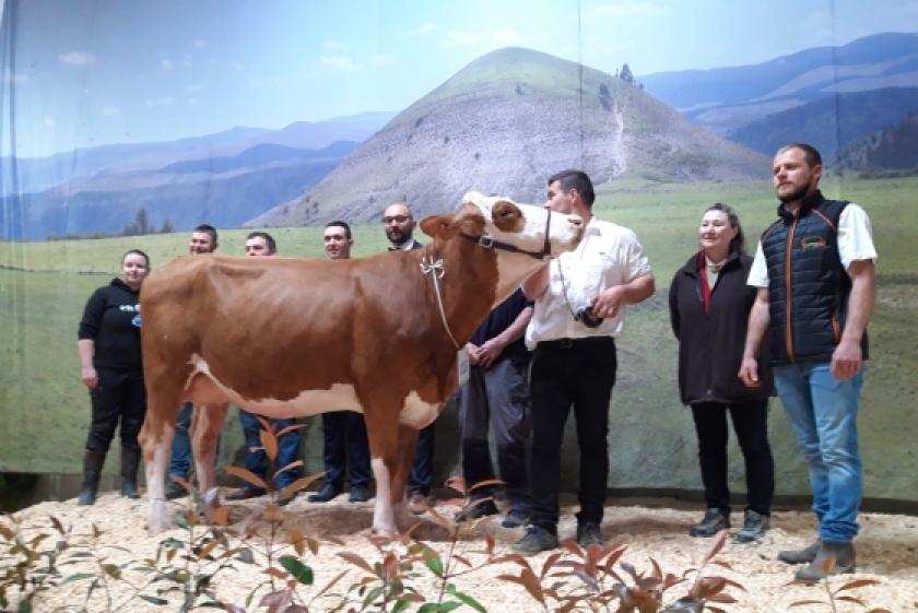 La Lozère ouvre le bal !