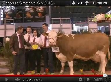 video_sia2012