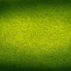 banniere-250x250px-fr
