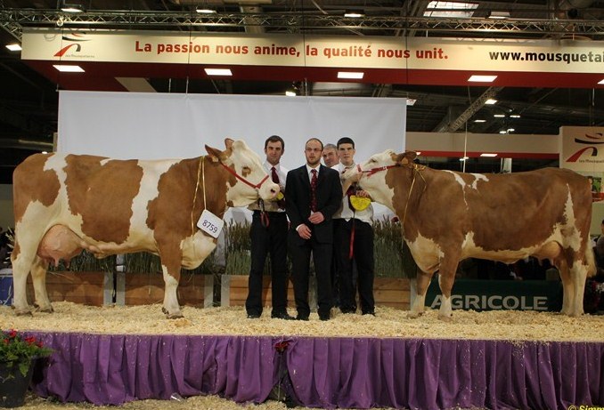 championnes_2013