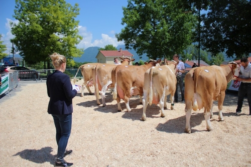 Concours Départemental de l'Ain