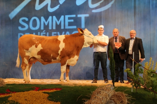 Catalogue Animaux étrangers du Sommet de l'élevage 2018