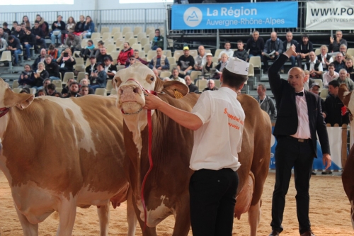 Revivez le concours du Sommet de l'Elevage !