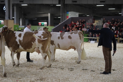 Revivez le Concours du Salon de l'Agriculture !