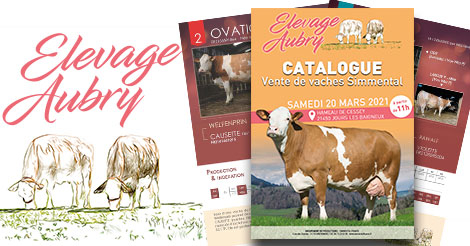 Découvrez le catalogue de la vente !