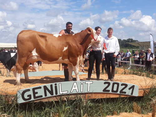 Concours départemental de la Loire (42)