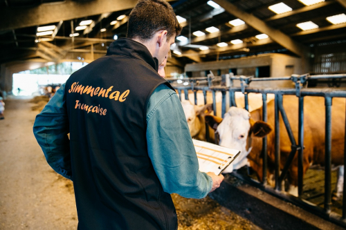 Simmental France recrute !