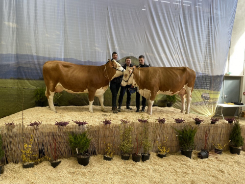 Départemental de la Lozère : Les Miss d'Aumont Aubrac