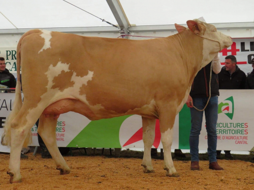 Départemental Cantal : les Miss de Chalinargues 