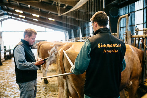 Ça bouge à Simmental France !