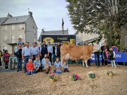 Concours départemental de l'Aveyron