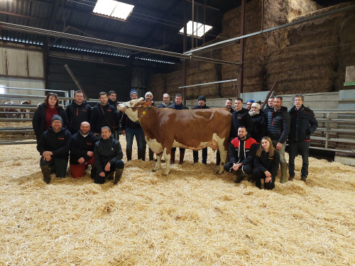 Agrément des Juges Simmental 