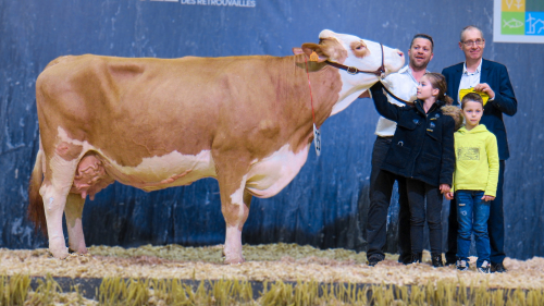 Suivez le concours de Paris en direct !