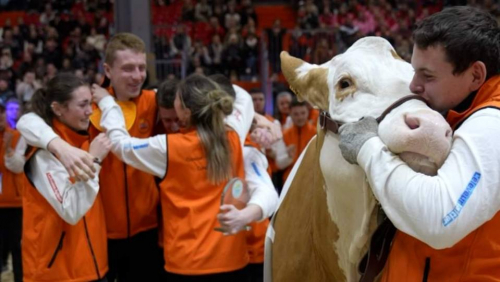 La Simmental s'impose aussi au Trophée des Lycées ! 