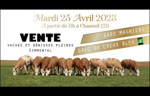 Et maintenant place à la vente MAGNIERE !!!