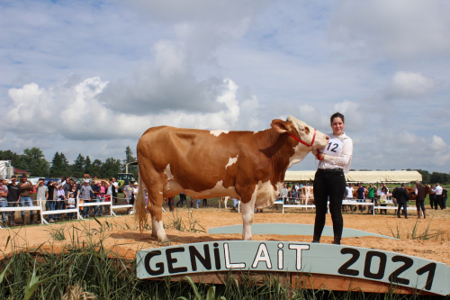 Simmental France s’élargi au département de la Loire !