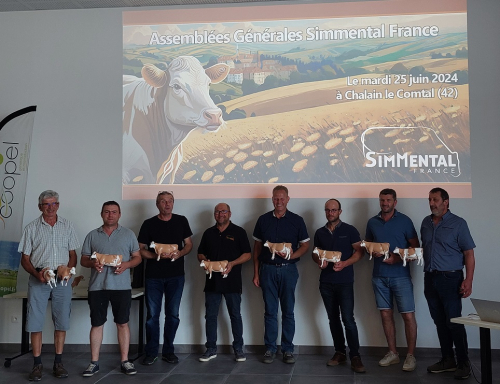 SIMMENTAL AVENIR est née !