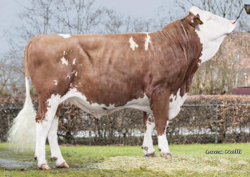 L'offre étrangère en détail 