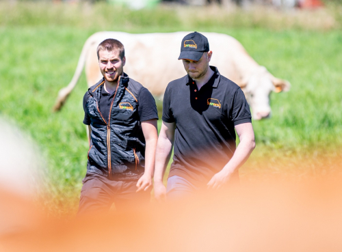 Habillez-vous Simmental !