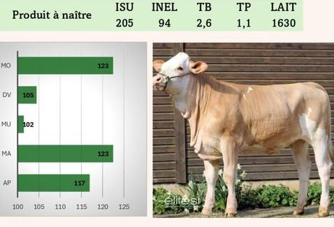 Encore une belle vente !