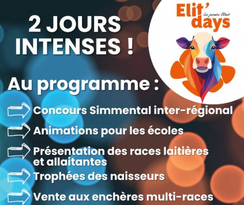 Actualité