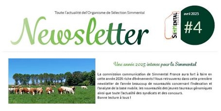 Actualité
