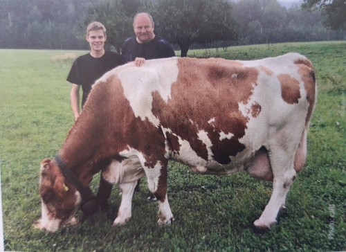 Plus de 200 000 kg de lait !!