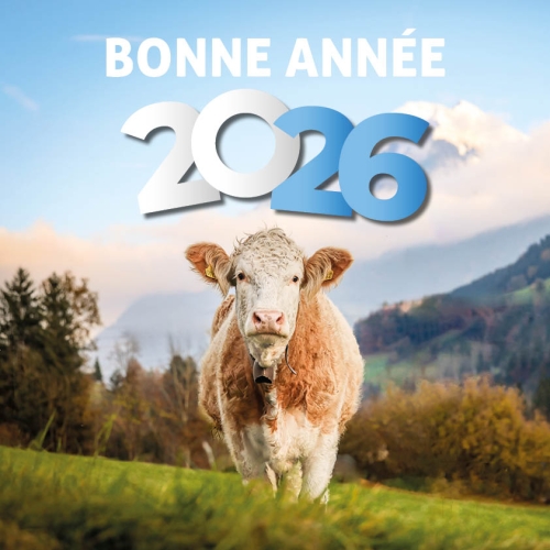 Le bulletin info est en ligne !