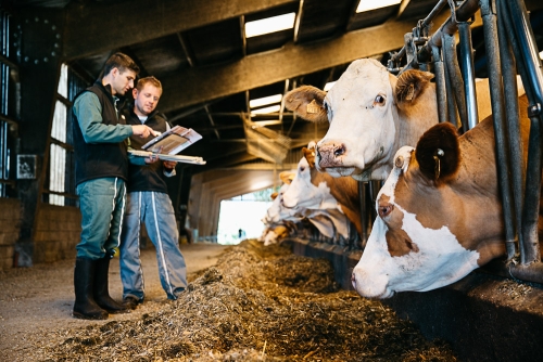 Consultez votre nouveau Bilan Génétique !