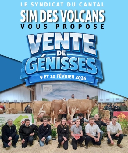 Vente de génisses !