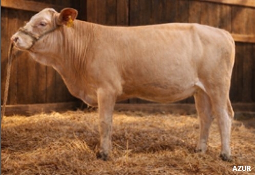 C'est le moment de miser !