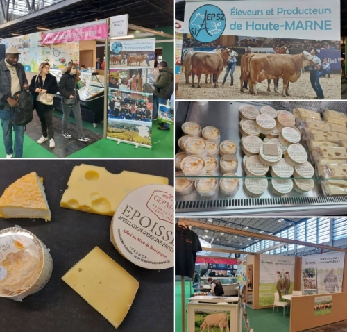 Un Salon un peu particulier !