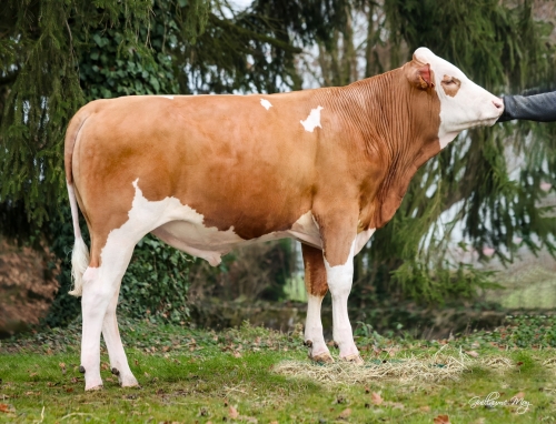 Un progrès laitier exceptionnel !