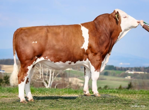 Nouveaux index étrangers !