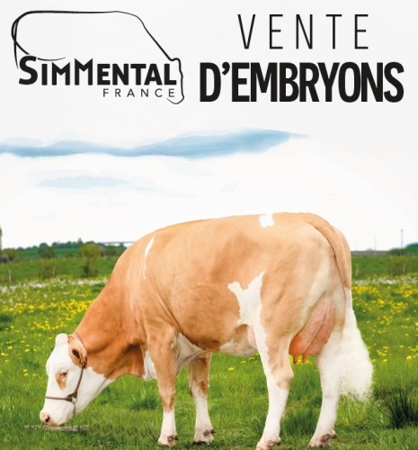 Nouvelle vente d’embryons !