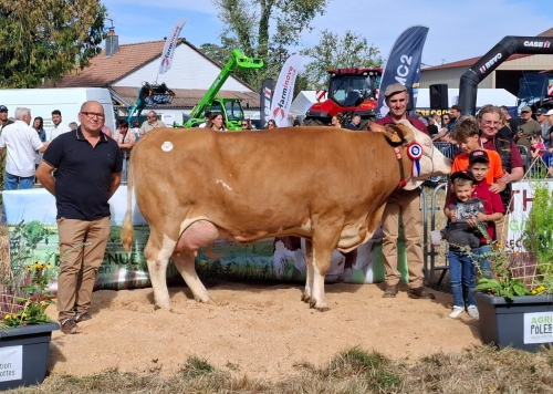 Une superbe vitrine pour la Simmental en Haute Marne !